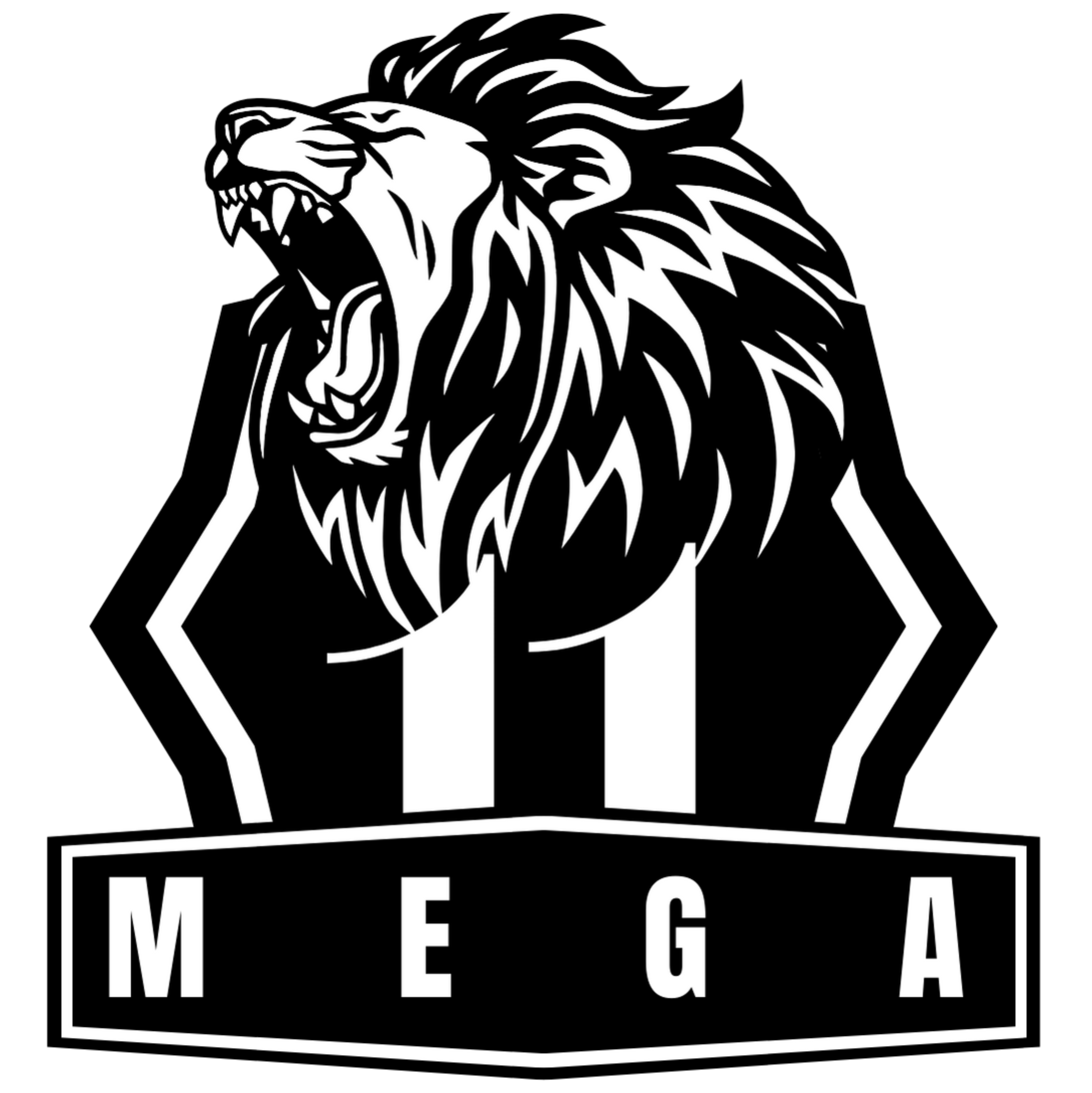 mega11